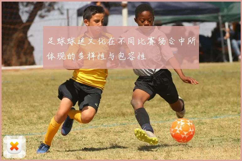 足球球迷文化在不同比赛场合中所体现的多样性与包容性